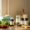 Gut-Health